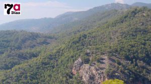 La Región aprovechará la biomasa extraída en Sierra Espuña