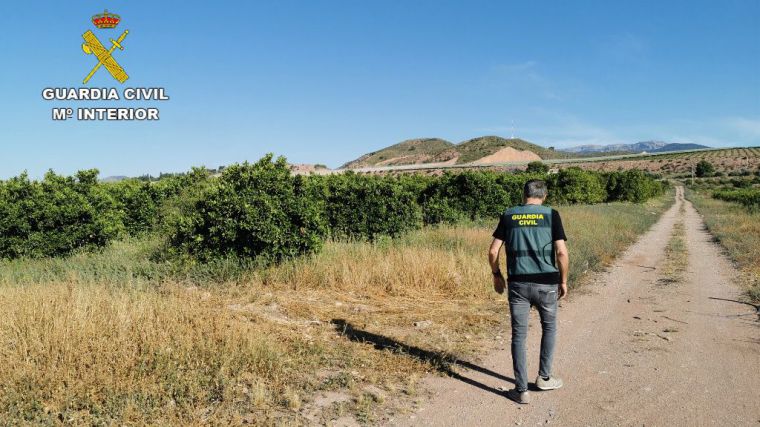 Seis detenidos por el hurto de 3 toneladas de naranjas de La Costera