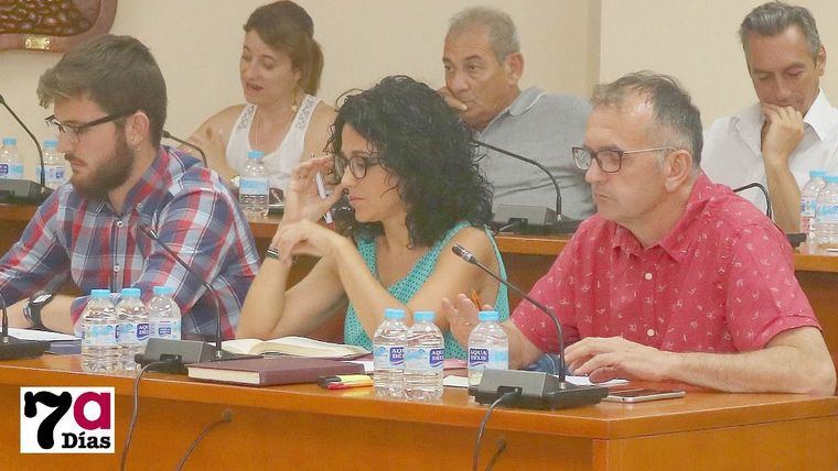 La edil de Comercio, Nani Navrro (c), durante el Pleno