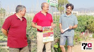 VIDEO Doce tipos de tomate a degustar en la VI Feria de la Cosecha