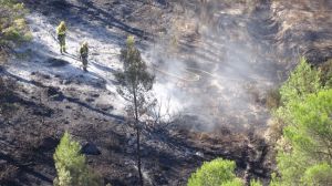 Estabilizado el incendio en Mula que ha arrasado 350 hectáreas