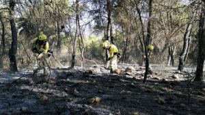40 personas trabajan en el incendio de la Sierra de la Silla