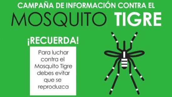 El Ayuntamiento pide la colaboración vecinal frente al mosquito tigre