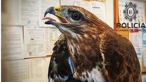 FOTOS Un vecino rescata en Alhama un águila herida