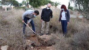 FOTOS Acude planta 100 ejemplares de tarays en la Alcanara