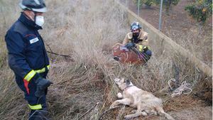 Rescatan a un perro que se había caído a un pozo en Librilla