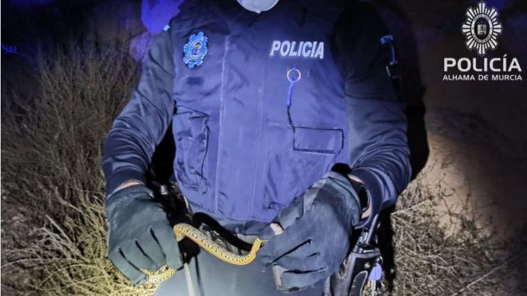 La Policía captura una serpiente en el portal de una vivienda