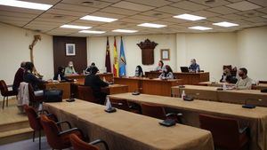 Aprobado otro paquete de '¡Disfruta Alhama!' de 13.310 euros