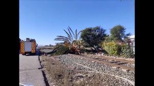 Policía Local atiende más de 60 llamadas por incidencias del viento