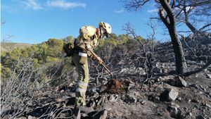 Dan por extinguido el incendio en la Sierra de Carrascoy