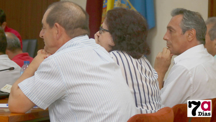 IU señaló en el Pleno del Municipio en qué discrepa con el PSOE